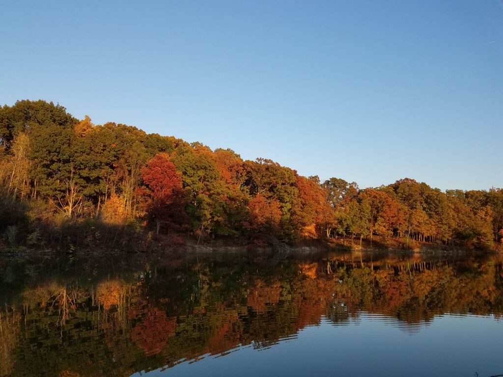 Lake View