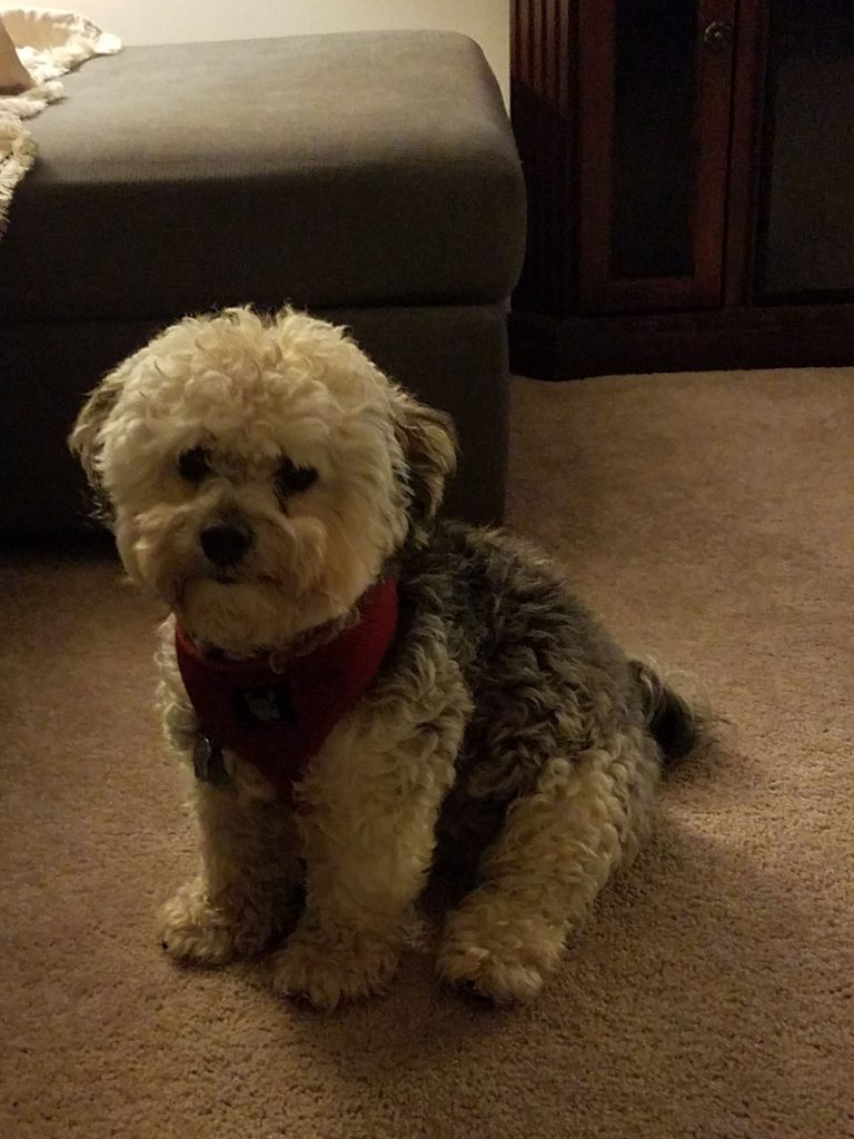 Theodore